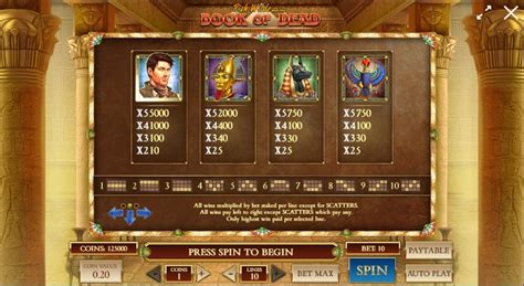 Book of Dead slot by Play’n GO